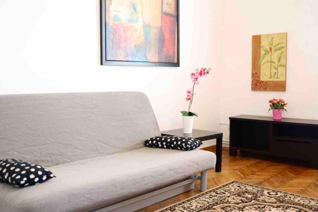 Soltyka 5 Rooms Apartment Cracovia Esterno foto
